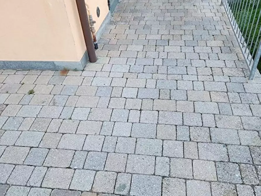 Immagine 14 di Appartamento in affitto  a Terricciola