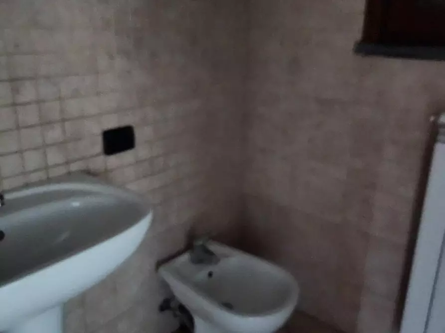 Immagine 10 di Appartamento in affitto  a Terricciola