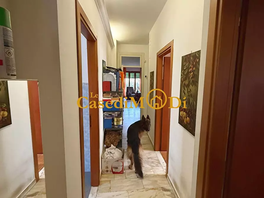 Immagine 32 di Appartamento in vendita  a Livorno