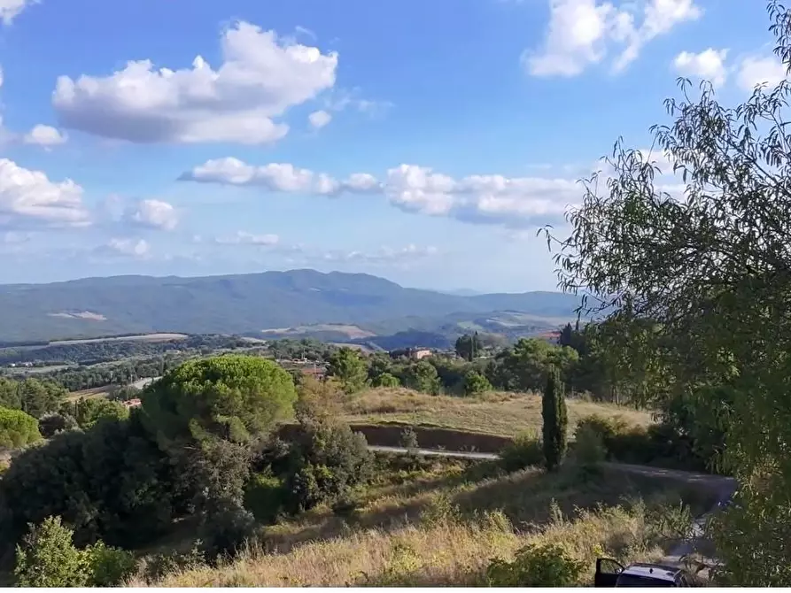 Immagine 7 di Casa colonica in vendita  a Chianni