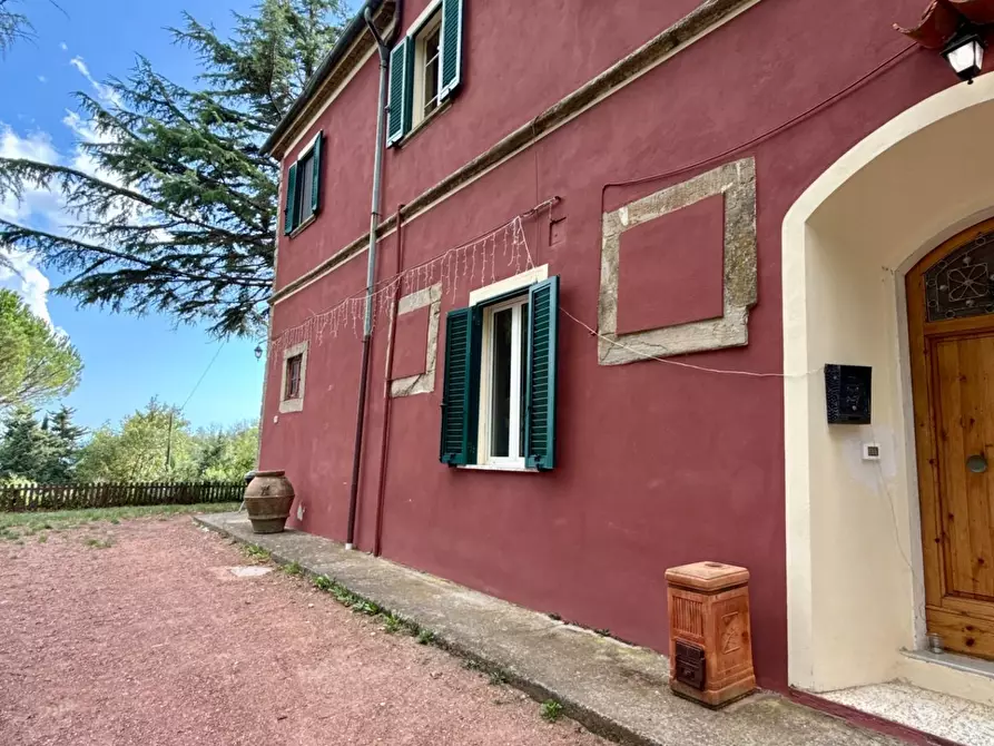 Immagine 35 di Casa colonica in vendita  a Chianni