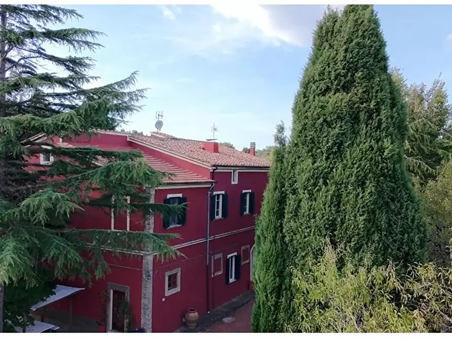 Immagine 8 di Casa colonica in vendita  a Chianni