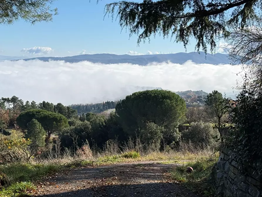 Immagine 63 di Casa colonica in vendita  a Chianni