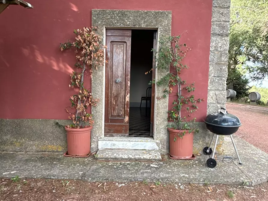 Immagine 55 di Casa colonica in vendita  a Chianni