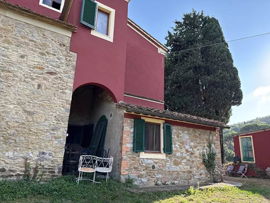 Immagine 6 di Casa colonica in vendita  a Chianni