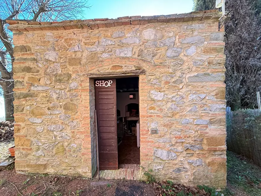 Immagine 64 di Casa colonica in vendita  a Chianni