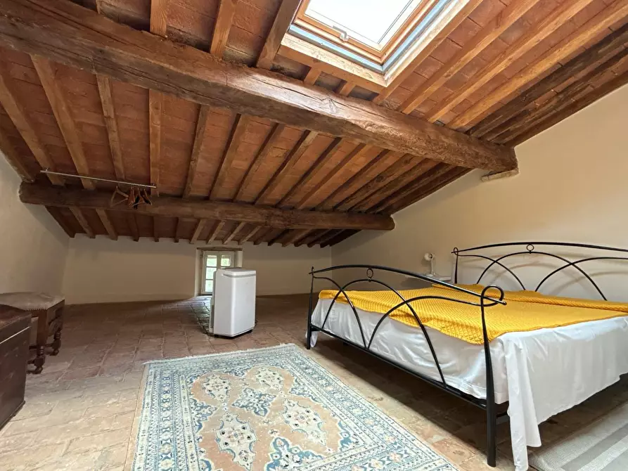 Immagine 27 di Casa colonica in vendita  a Chianni