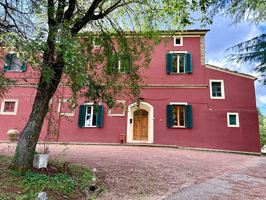 Immagine 36 di Casa colonica in vendita  a Chianni