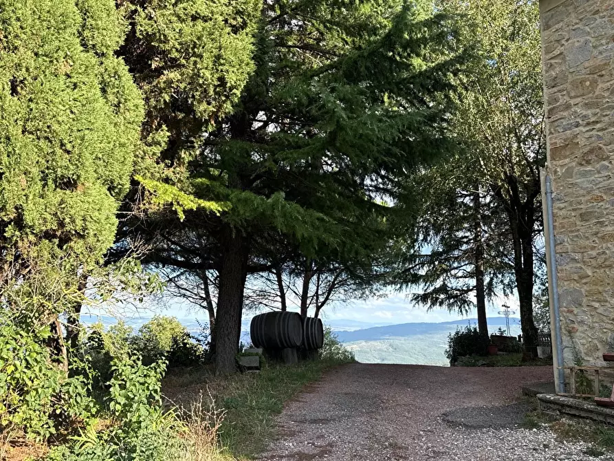 Immagine 2 di Casa colonica in vendita  a Chianni