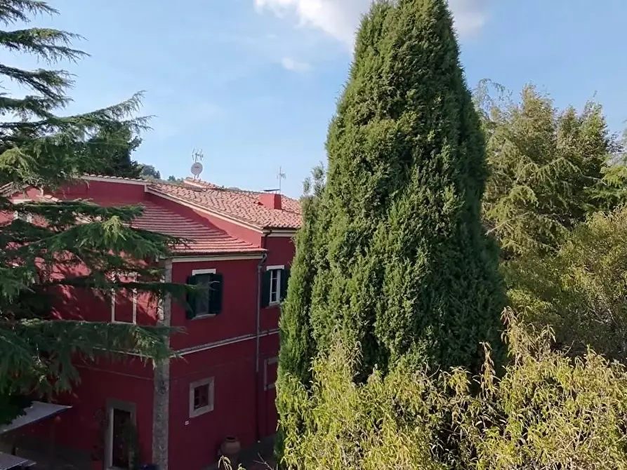 Immagine 1 di Casa colonica in vendita  a Chianni