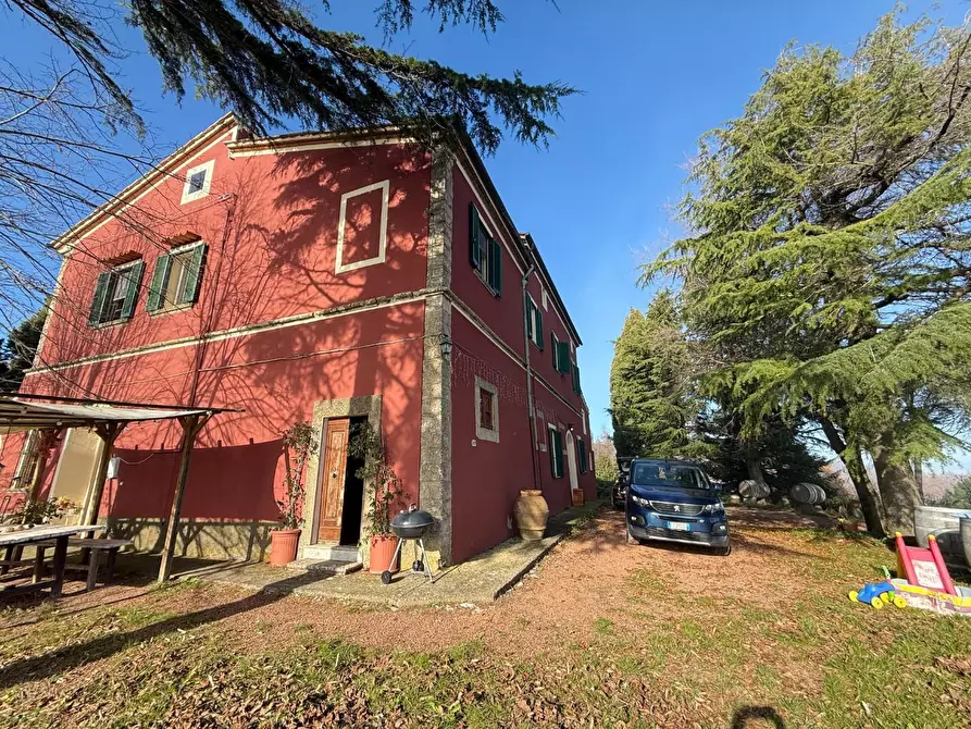 Immagine 65 di Casa colonica in vendita  a Chianni