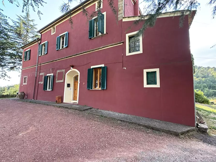 Immagine 4 di Casa colonica in vendita  a Chianni