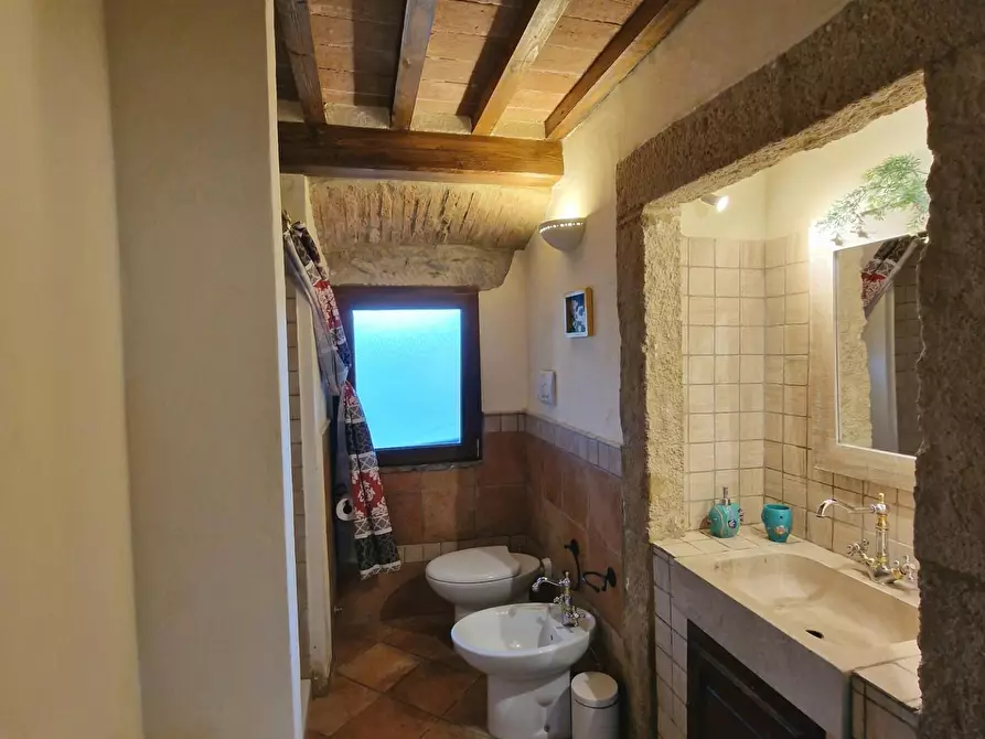 Immagine 53 di Casa colonica in vendita  a Chianni