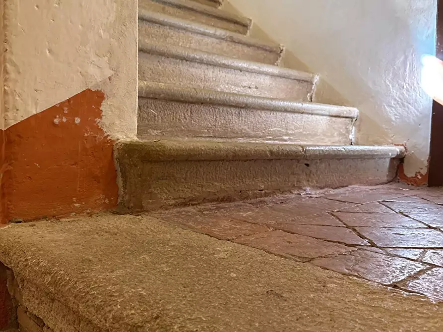 Immagine 32 di Casa colonica in vendita  a Chianni