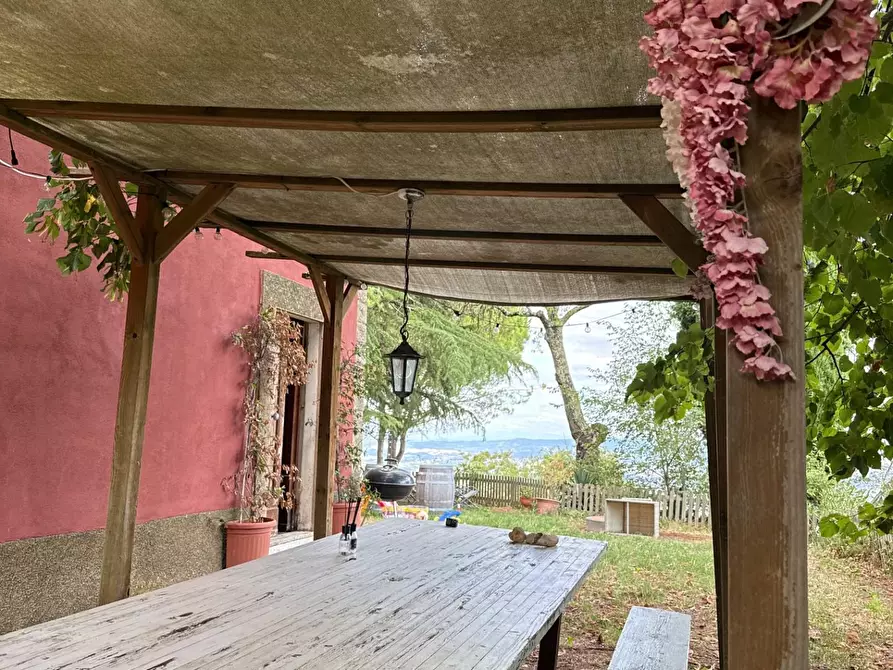 Immagine 13 di Casa colonica in vendita  a Chianni