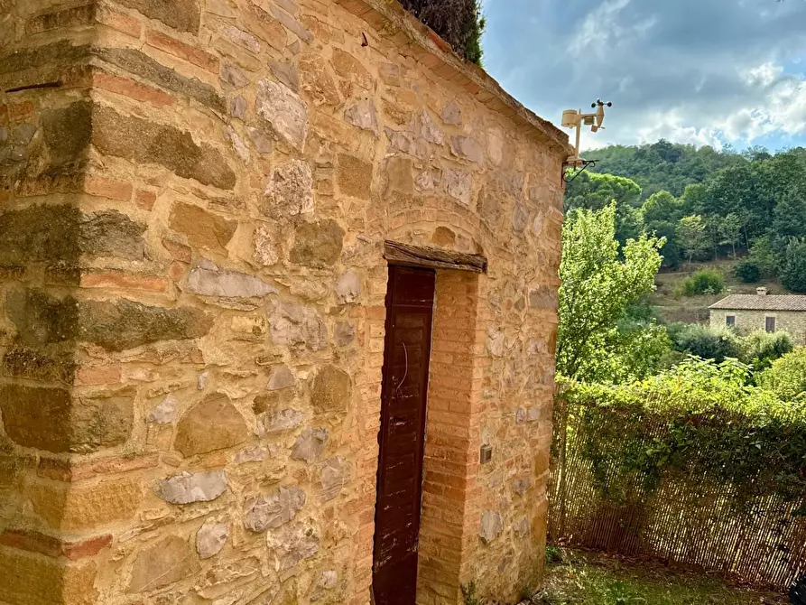 Immagine 59 di Casa colonica in vendita  a Chianni