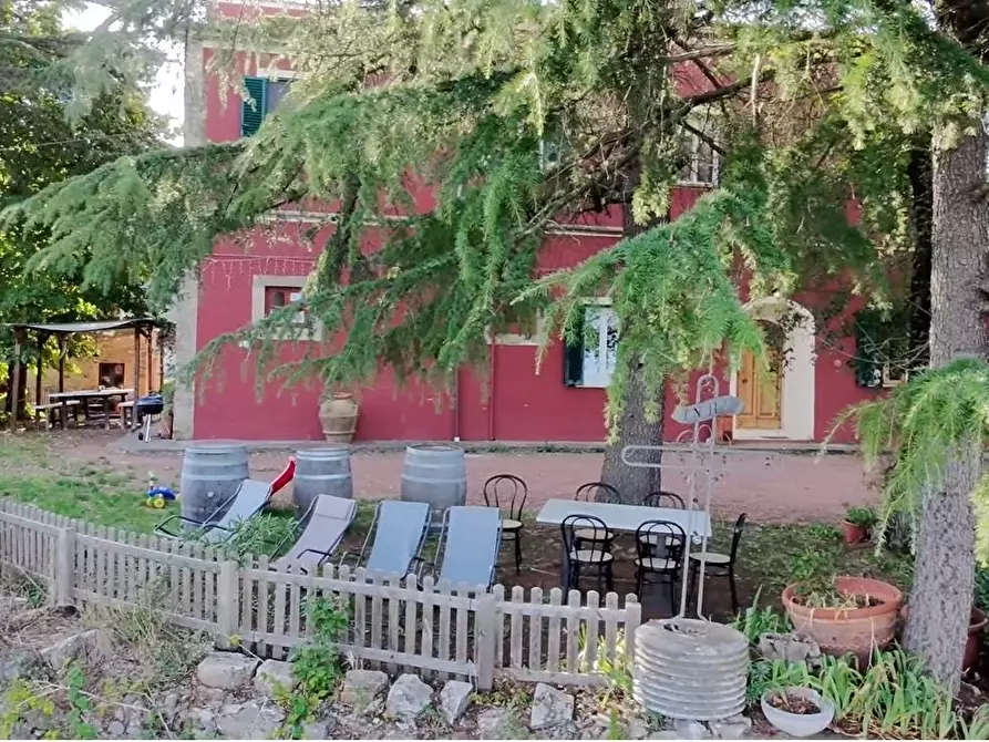 Immagine 3 di Casa colonica in vendita  a Chianni