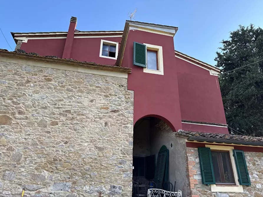 Immagine 5 di Casa colonica in vendita  a Chianni