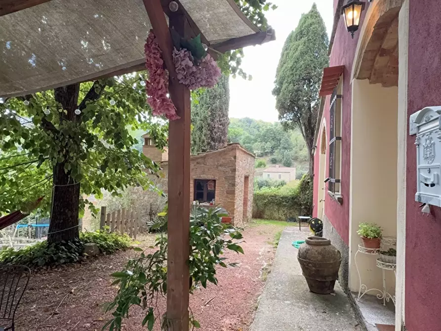 Immagine 9 di Casa colonica in vendita  a Chianni