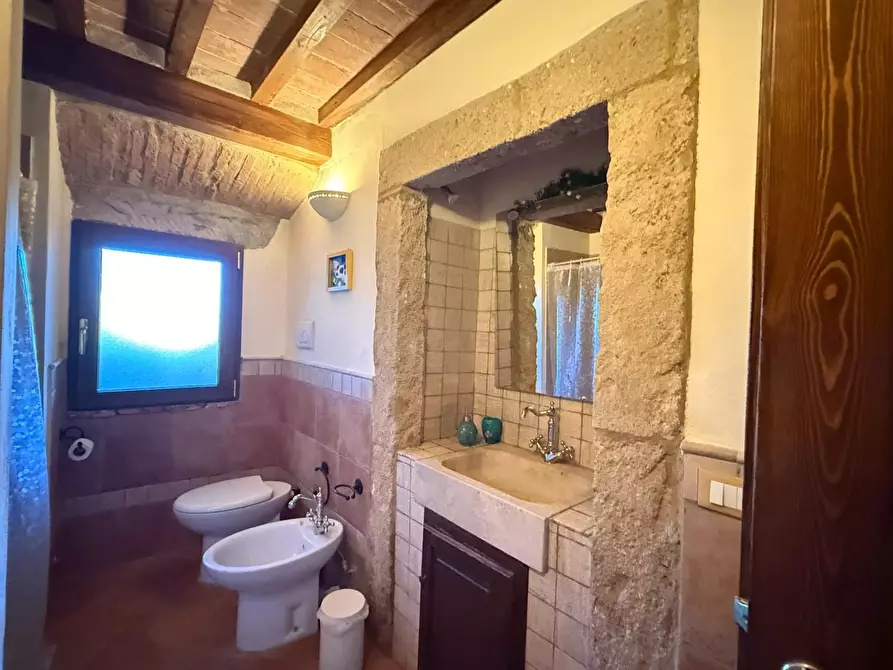 Immagine 53 di Casa colonica in vendita  a Chianni