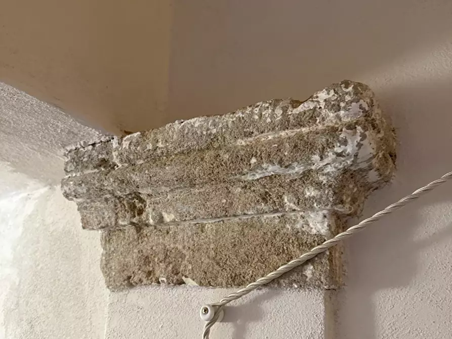 Immagine 31 di Casa colonica in vendita  a Chianni