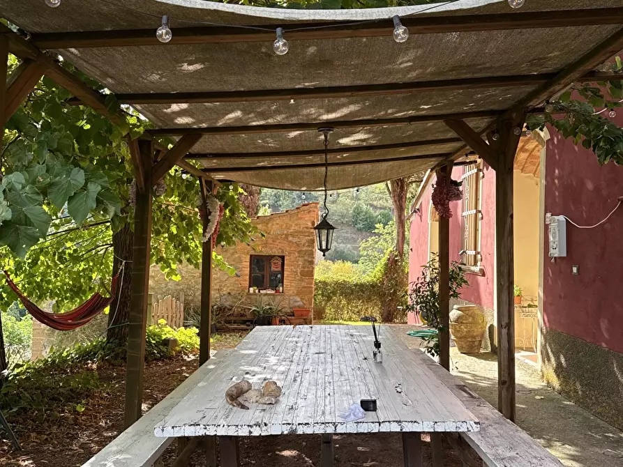 Immagine 11 di Casa colonica in vendita  a Chianni