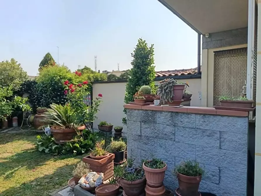 Immagine 9 di Villetta a schiera in vendita  a Pescia