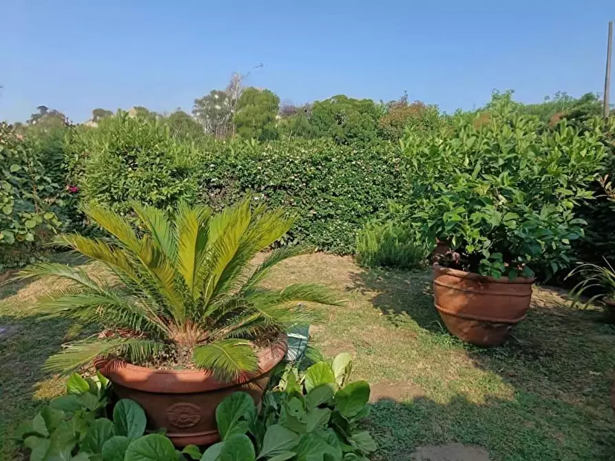 Immagine 10 di Villetta a schiera in vendita  a Pescia