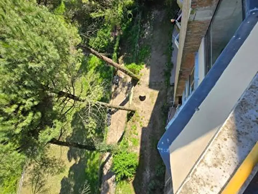 Immagine 28 di Appartamento in vendita  a Siena