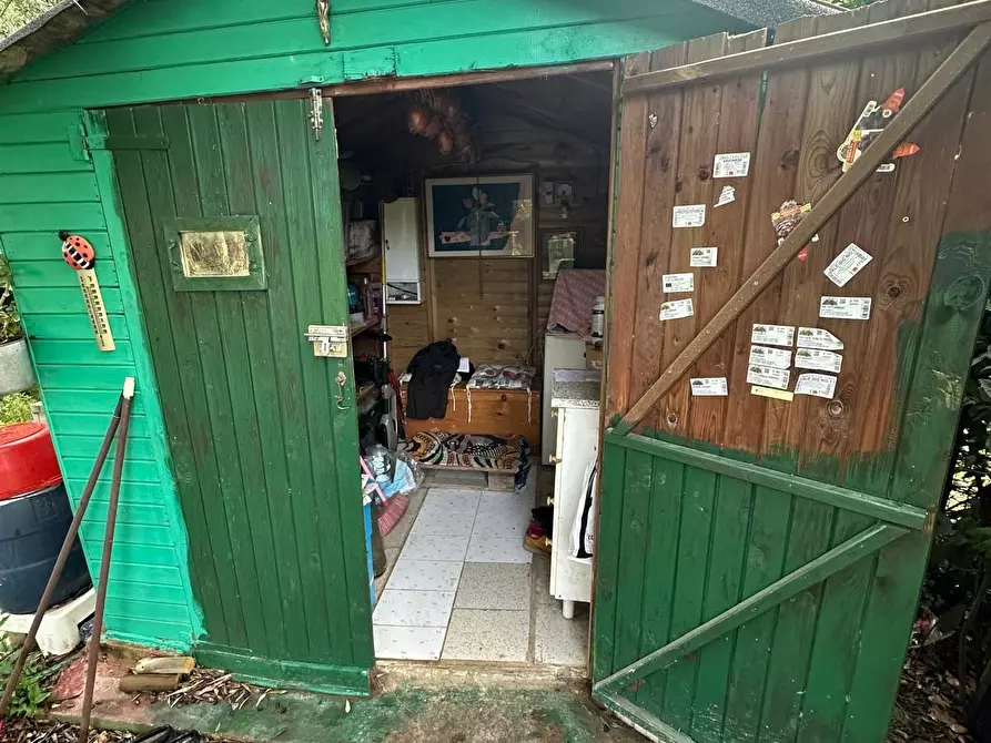 Immagine 8 di Terreno agricolo in vendita  a Campiglia Marittima