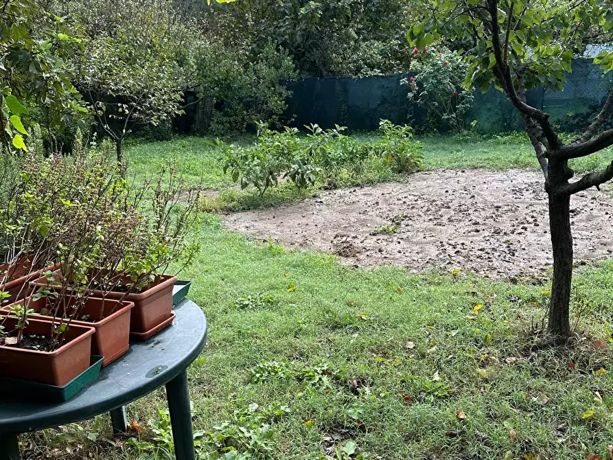 Immagine 6 di Terreno agricolo in vendita  a Campiglia Marittima