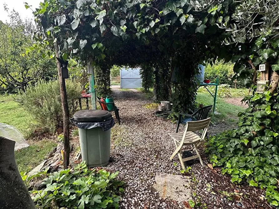 Immagine 7 di Terreno agricolo in vendita  a Campiglia Marittima