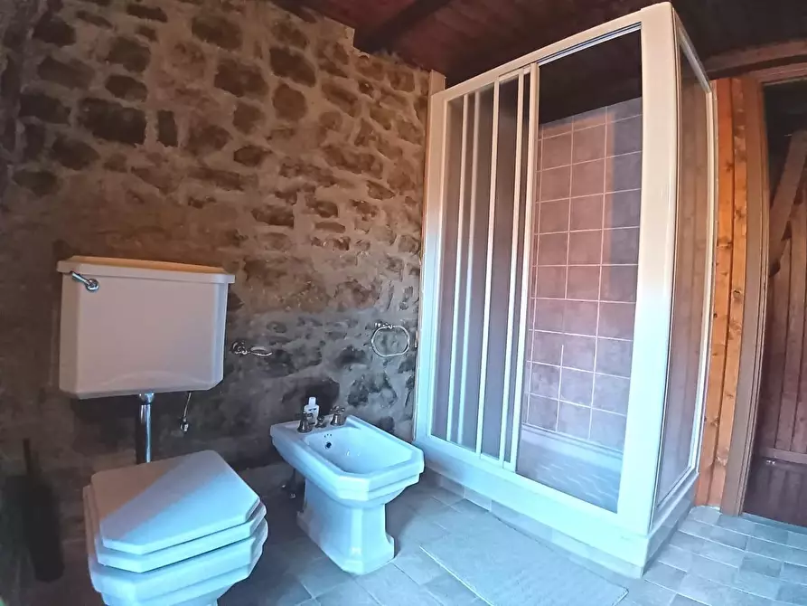 Immagine 15 di Terratetto in vendita  a Pescia