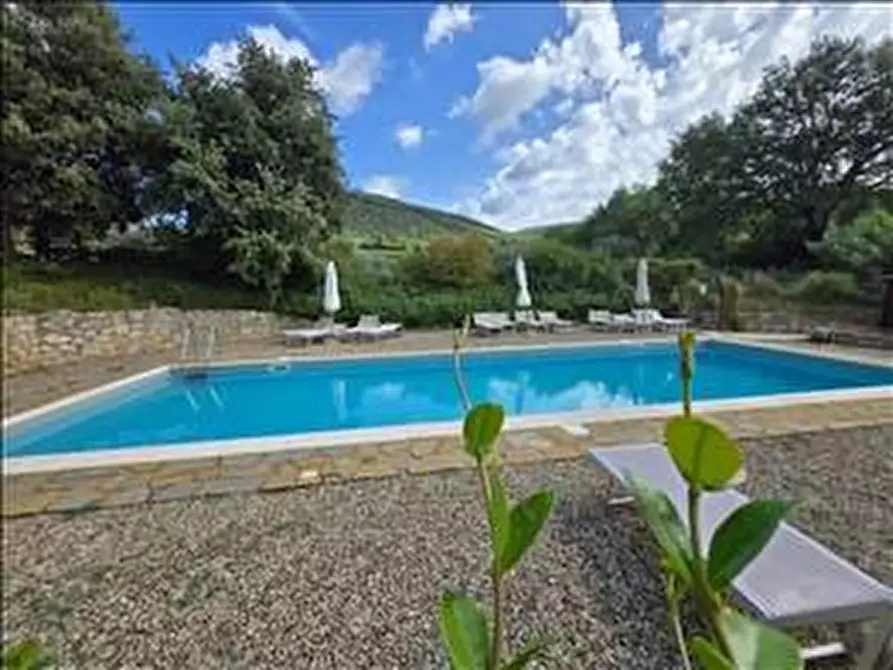 Immagine 28 di Appartamento in vendita  a Castelnuovo Berardenga