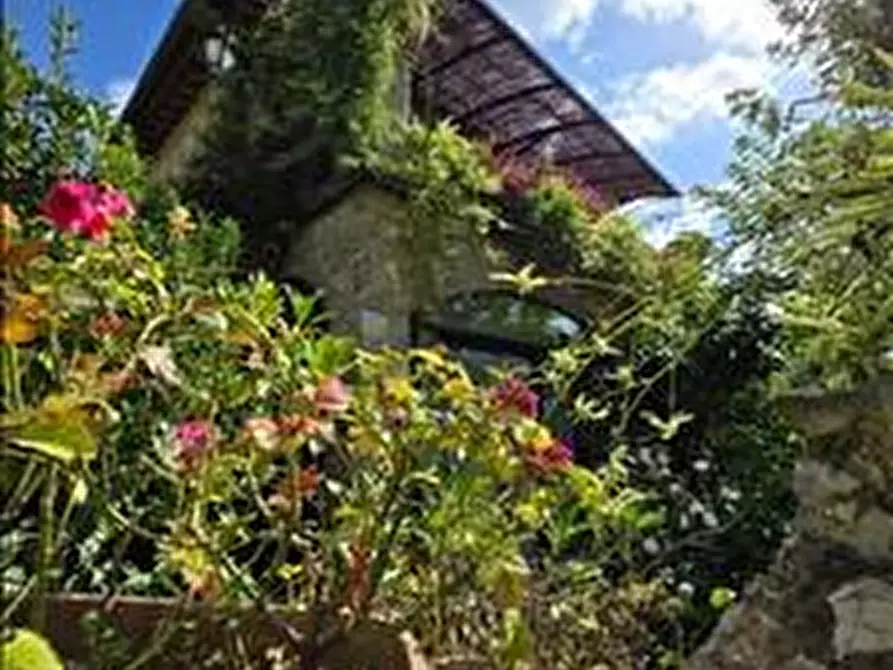 Immagine 44 di Appartamento in vendita  a Castelnuovo Berardenga