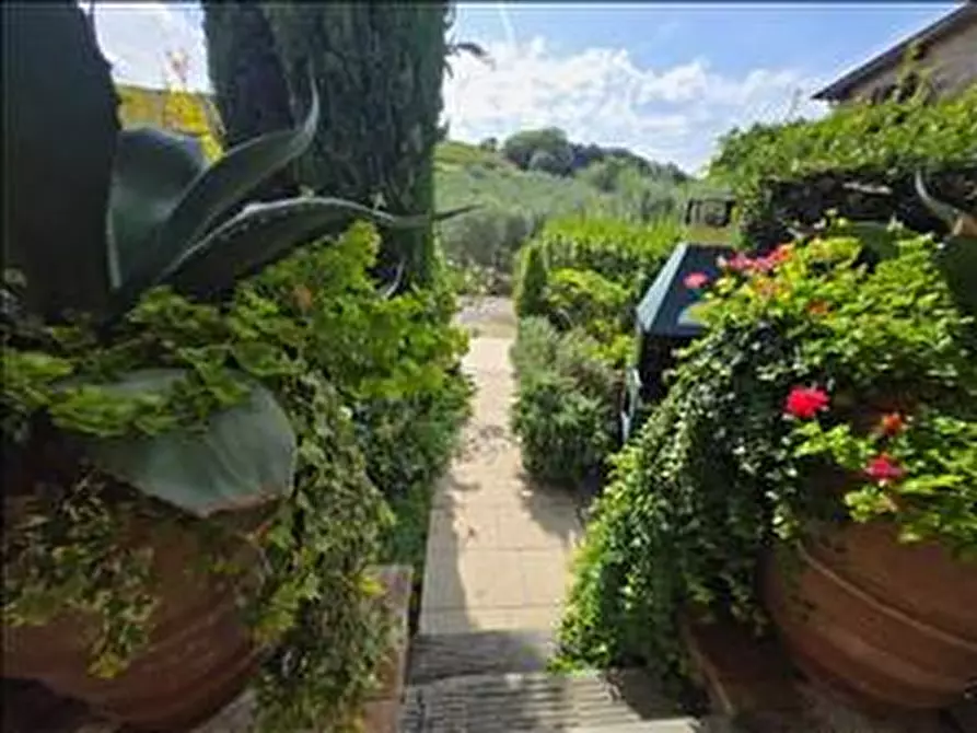 Immagine 42 di Appartamento in vendita  a Castelnuovo Berardenga