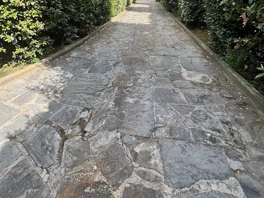 Immagine 4 di Villa in vendita  a Capraia E Limite