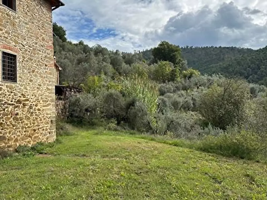 Immagine 30 di Casa colonica in vendita  a Vinci