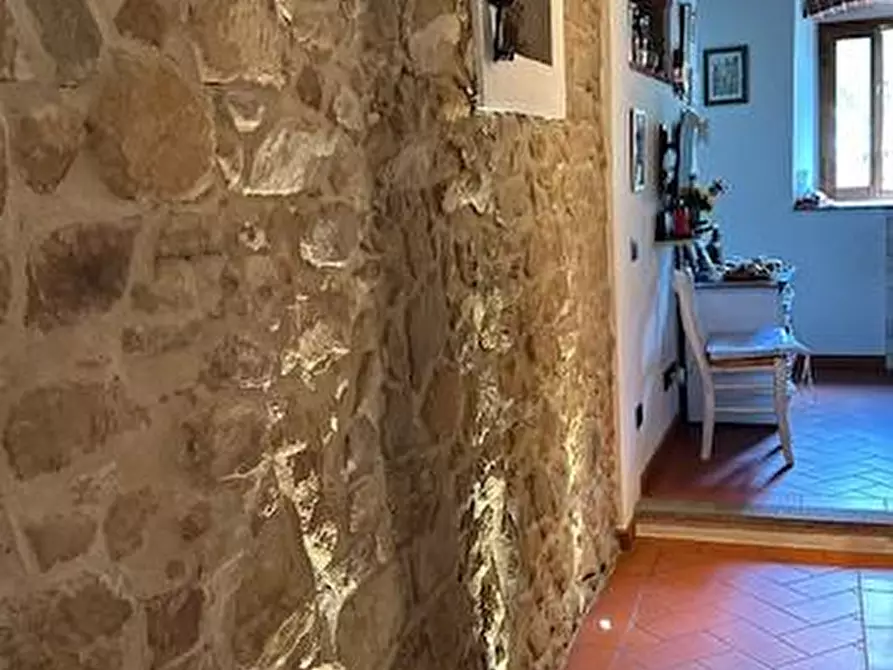 Immagine 8 di Casa colonica in vendita  a Vinci