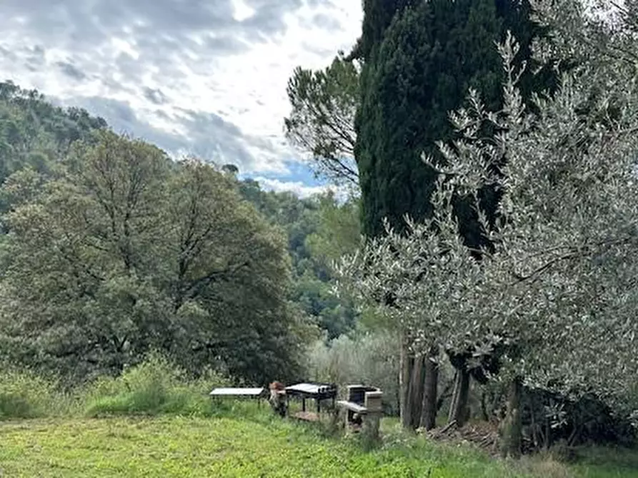 Immagine 32 di Casa colonica in vendita  a Vinci