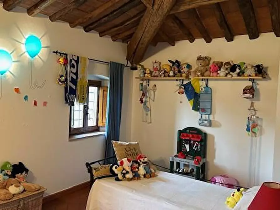 Immagine 23 di Casa colonica in vendita  a Vinci