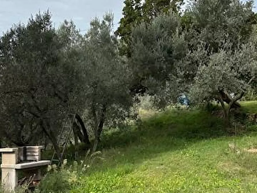 Immagine 27 di Casa colonica in vendita  a Vinci