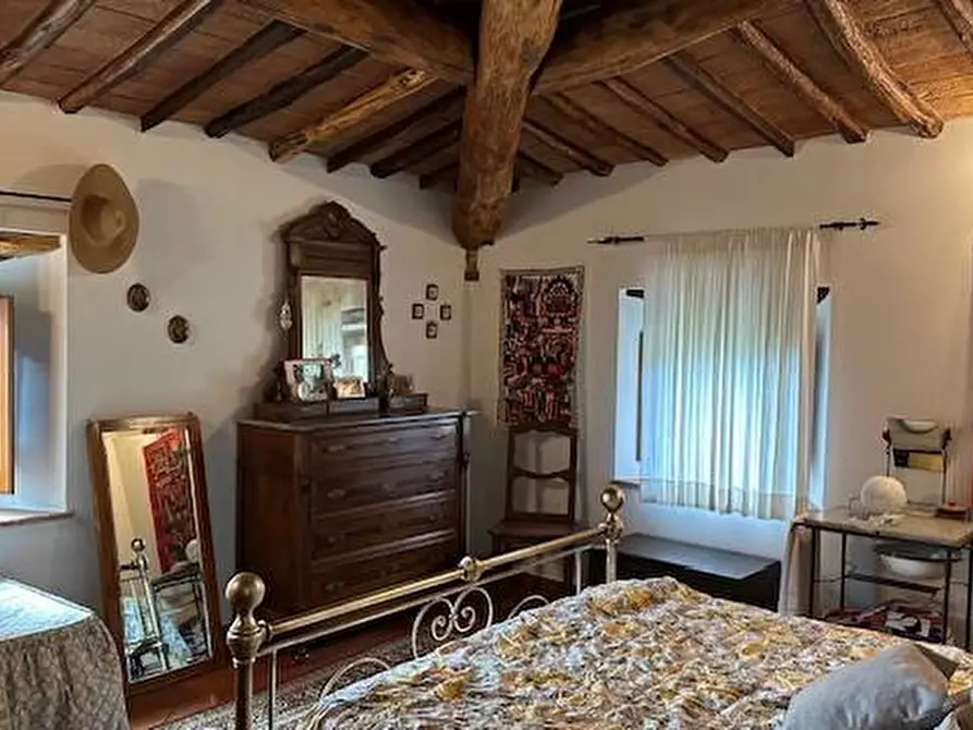 Immagine 22 di Casa colonica in vendita  a Vinci