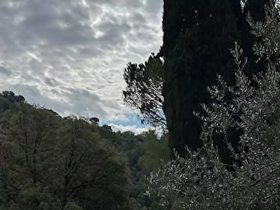 Immagine 31 di Casa colonica in vendita  a Vinci