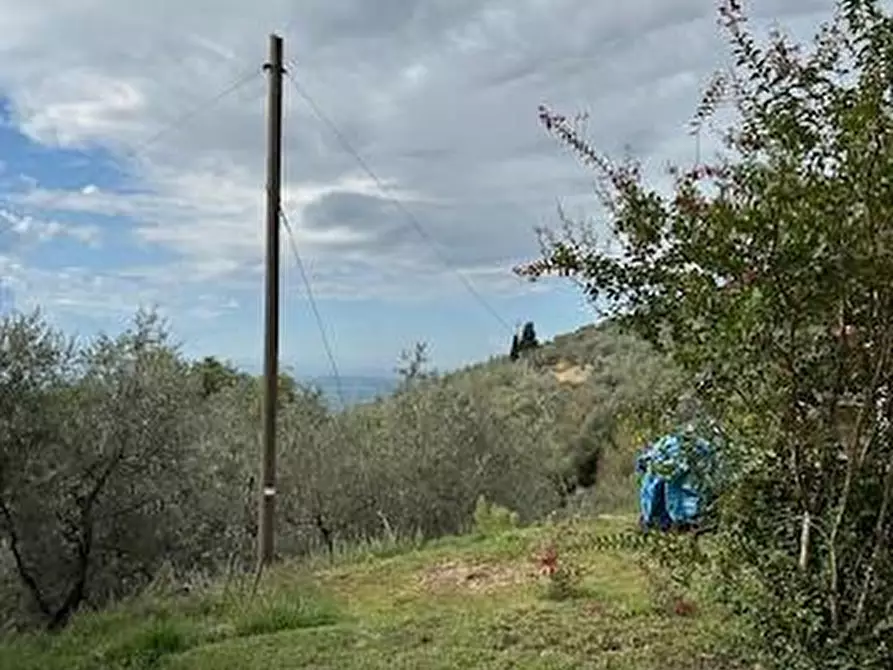 Immagine 25 di Casa colonica in vendita  a Vinci