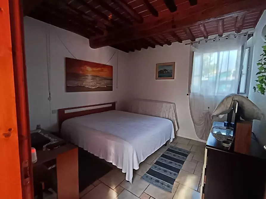 Immagine 11 di Appartamento in vendita  a Pescia