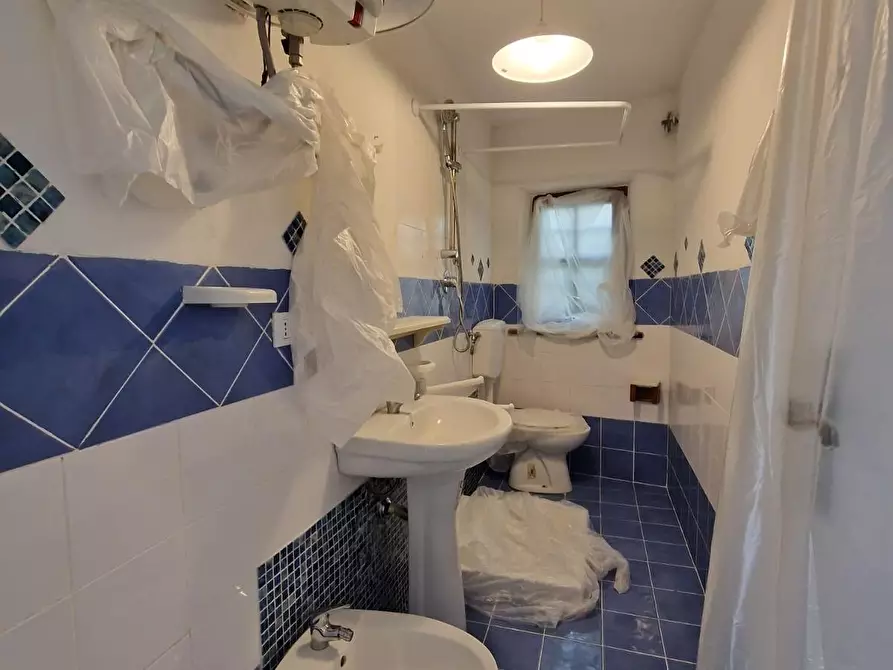 Immagine 12 di Terratetto in vendita  a Crespina Lorenzana