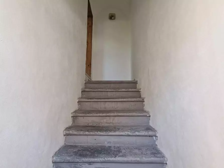 Immagine 15 di Terratetto in vendita  a Crespina Lorenzana