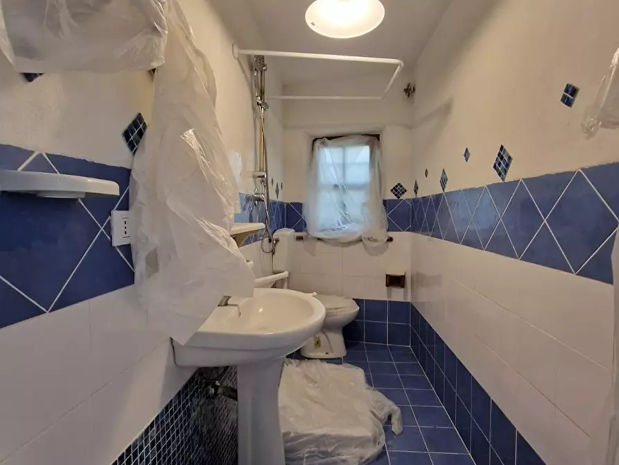 Immagine 13 di Terratetto in vendita  a Crespina Lorenzana