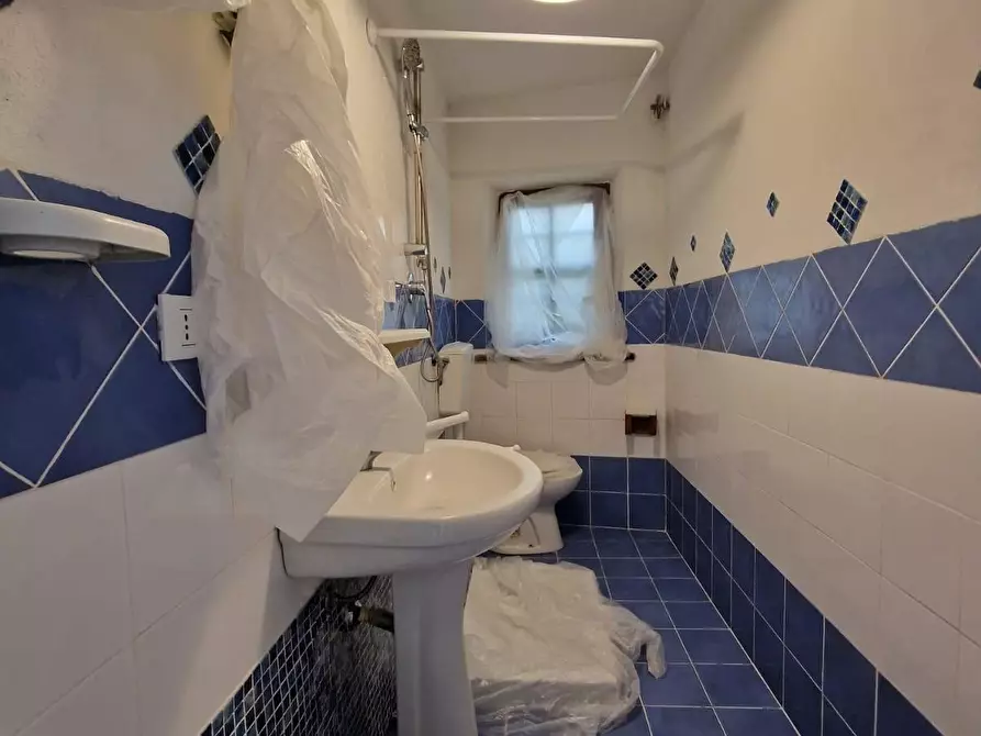 Immagine 14 di Terratetto in vendita  a Crespina Lorenzana